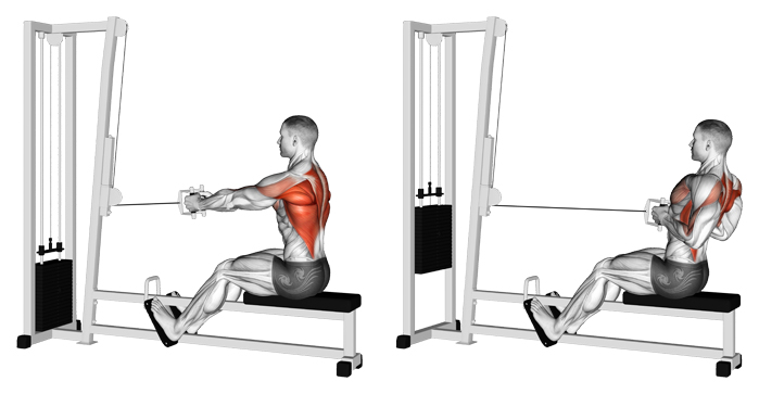 cable row back workout