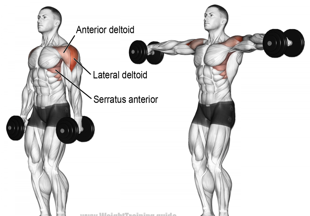 lateral raises shoulder workout