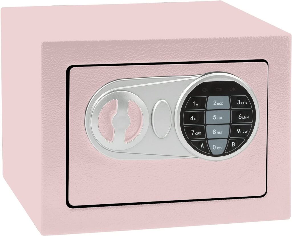 pink safes for college dorms