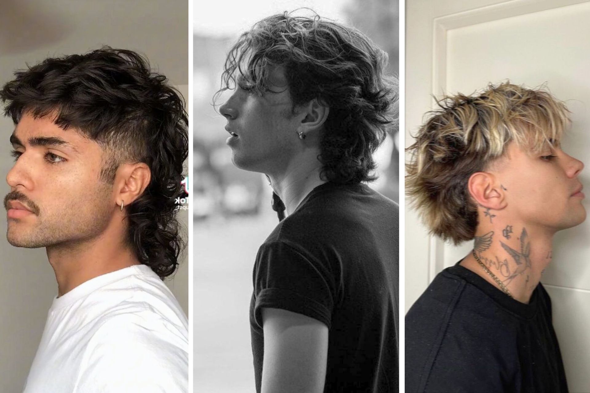 25 Wolf Cut Hairstyles for Men to Copy in 2024