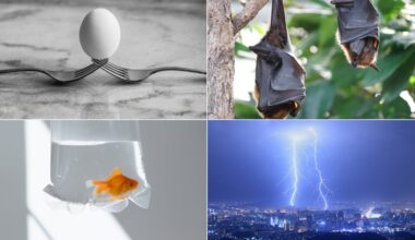 10 Scientific Myths You Still Probably Believe