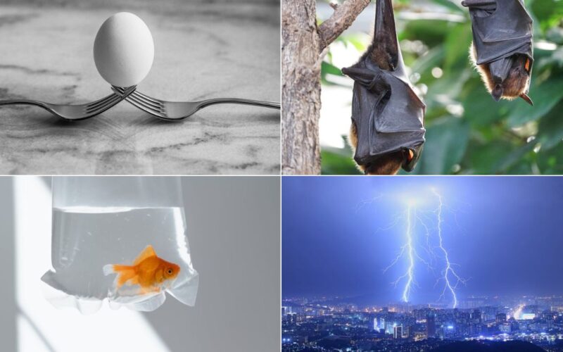 10 Scientific Myths You Still Probably Believe