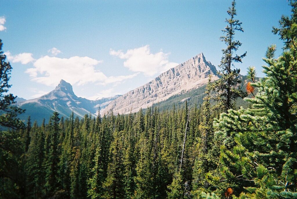 Wilderness Valley