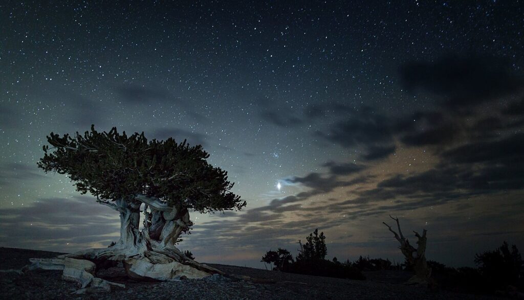 Great Basin National Park, Nevada