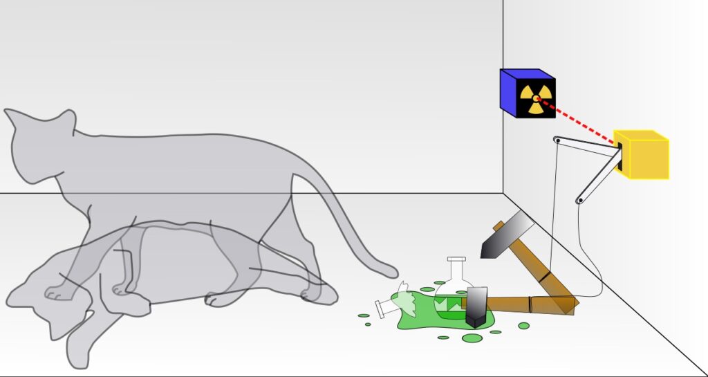 Schrödinger’s Cat