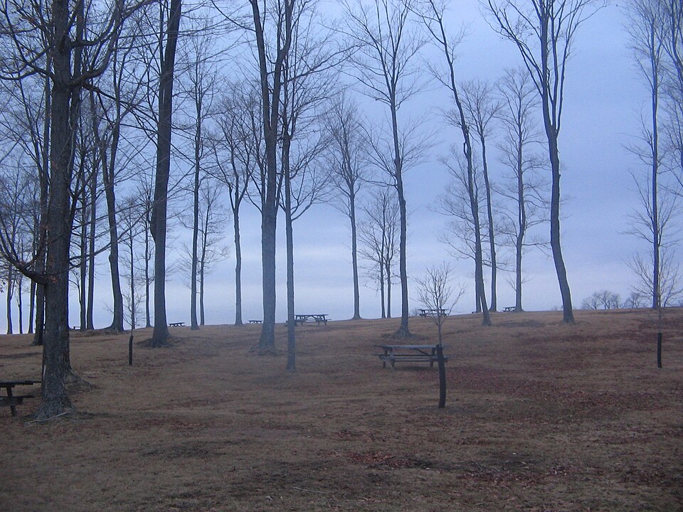 Cherry Springs State Park, Pennsylvania