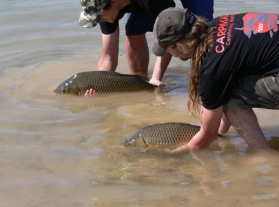 Catching Fish with Bare Hands Banned
