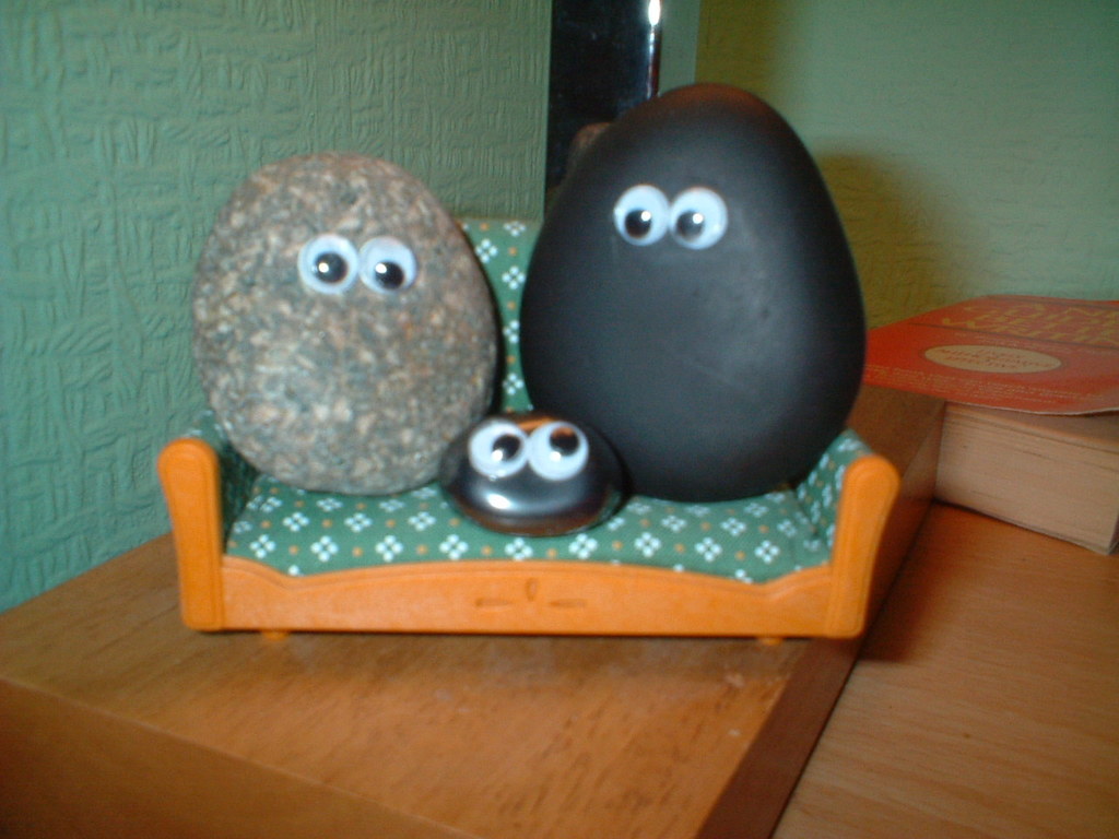 Pet rocks as a status symbol