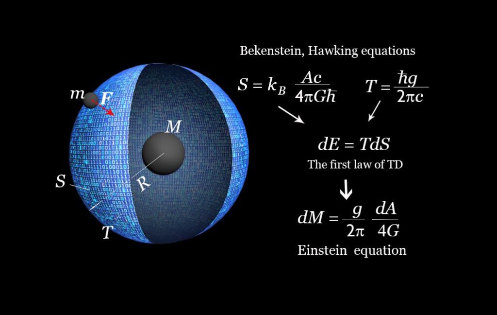 The Holographic Principle