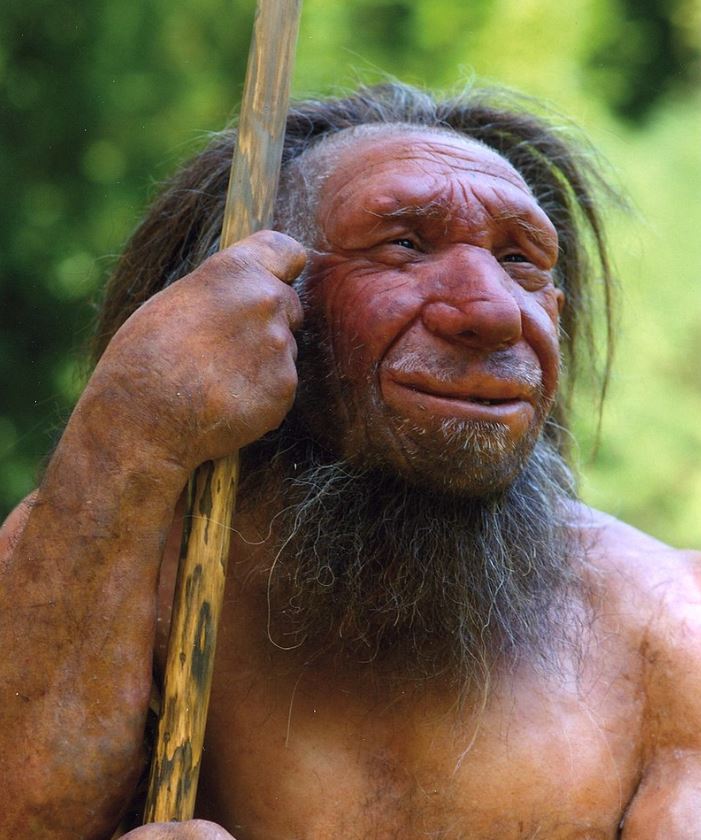 There's a single missing link in human evolution