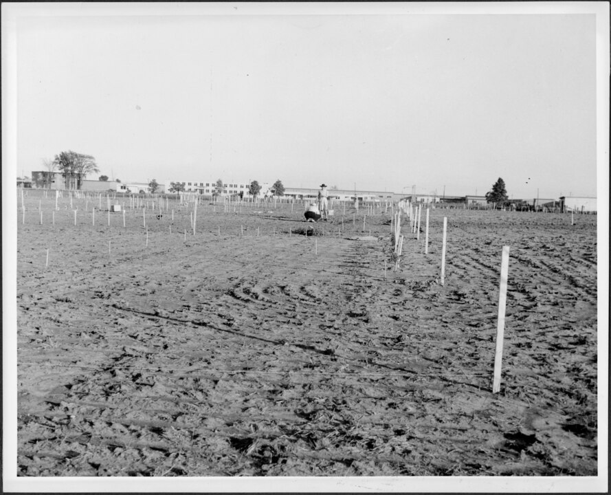 Families Grew Their Own Food