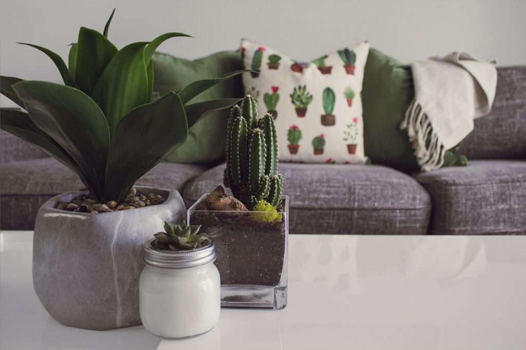 Plants or Greenery
