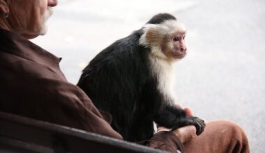 7 Common Misconceptions About Evolution You Probably Still Believe to Be True