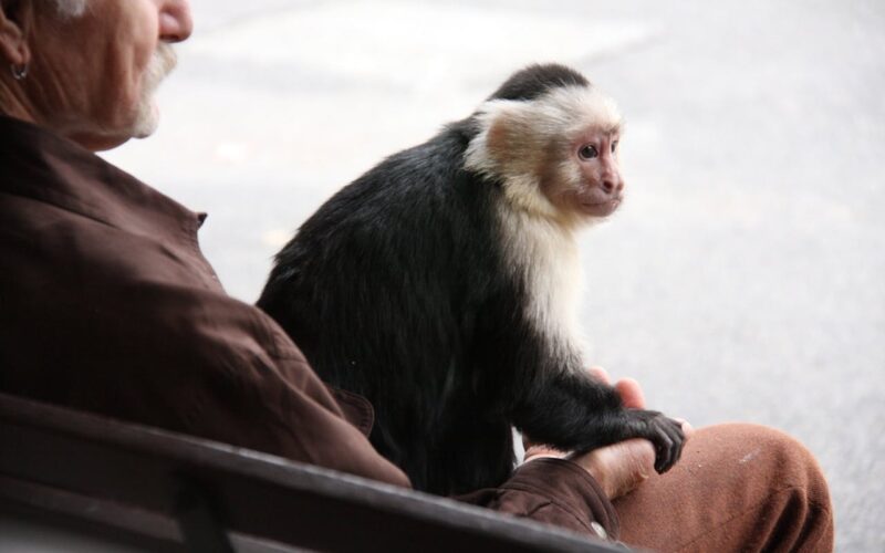 7 Common Misconceptions About Evolution You Probably Still Believe to Be True