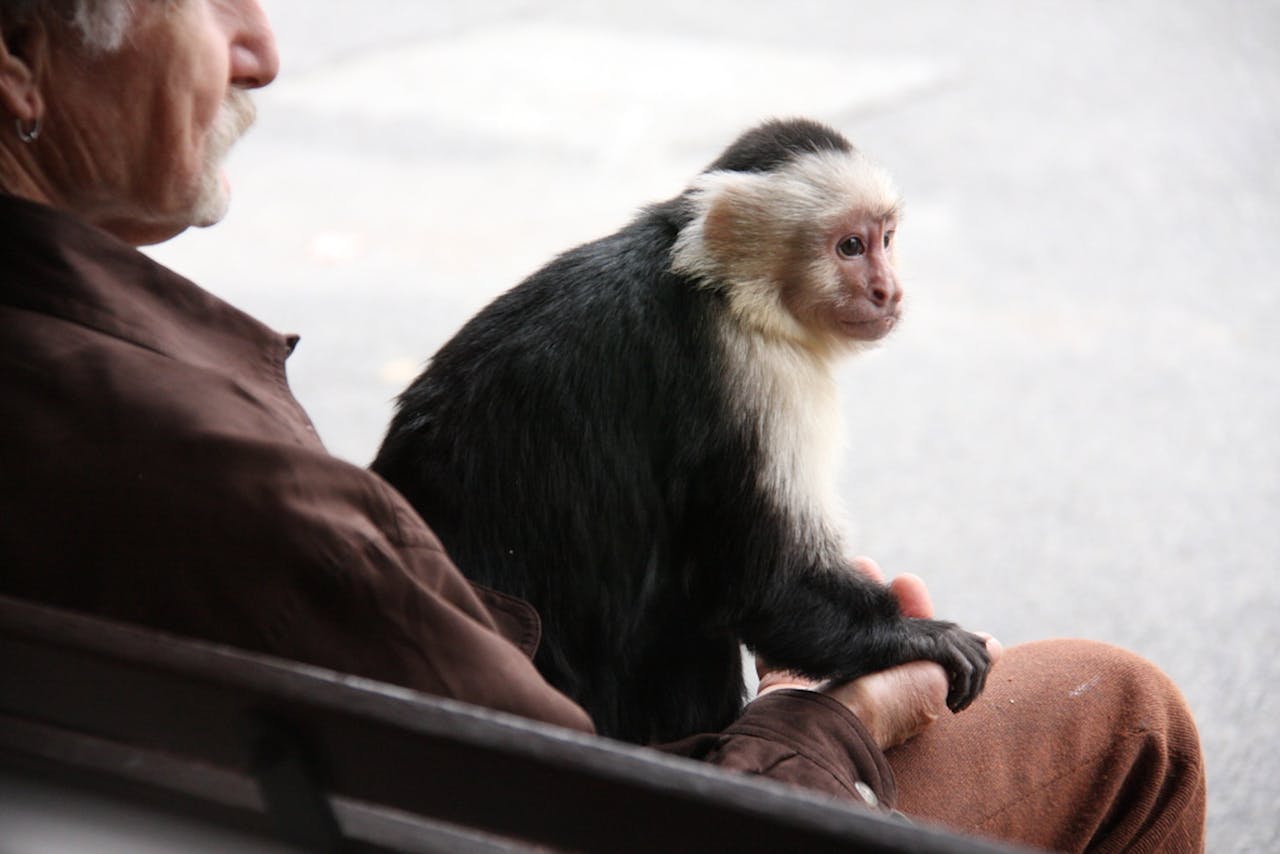 7 Common Misconceptions About Evolution You Probably Still Believe to Be True