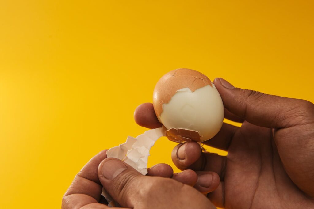 Eggshells