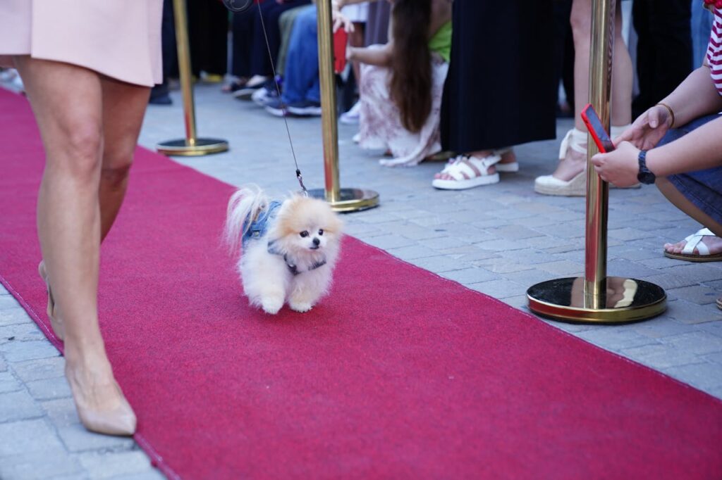 The Met Gala meme moments