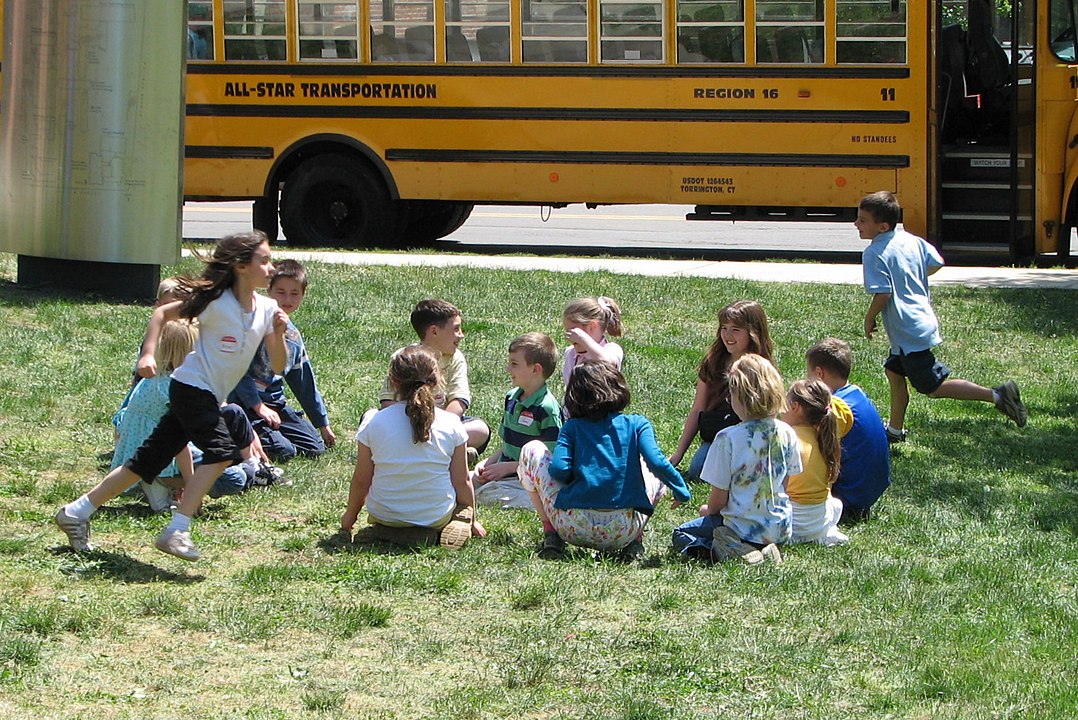 Duck, Duck, Goose