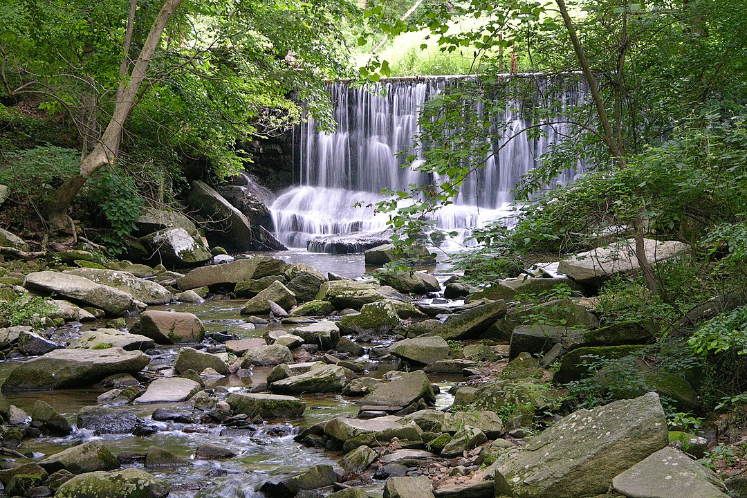 Hazelhurst (Near The State Park)