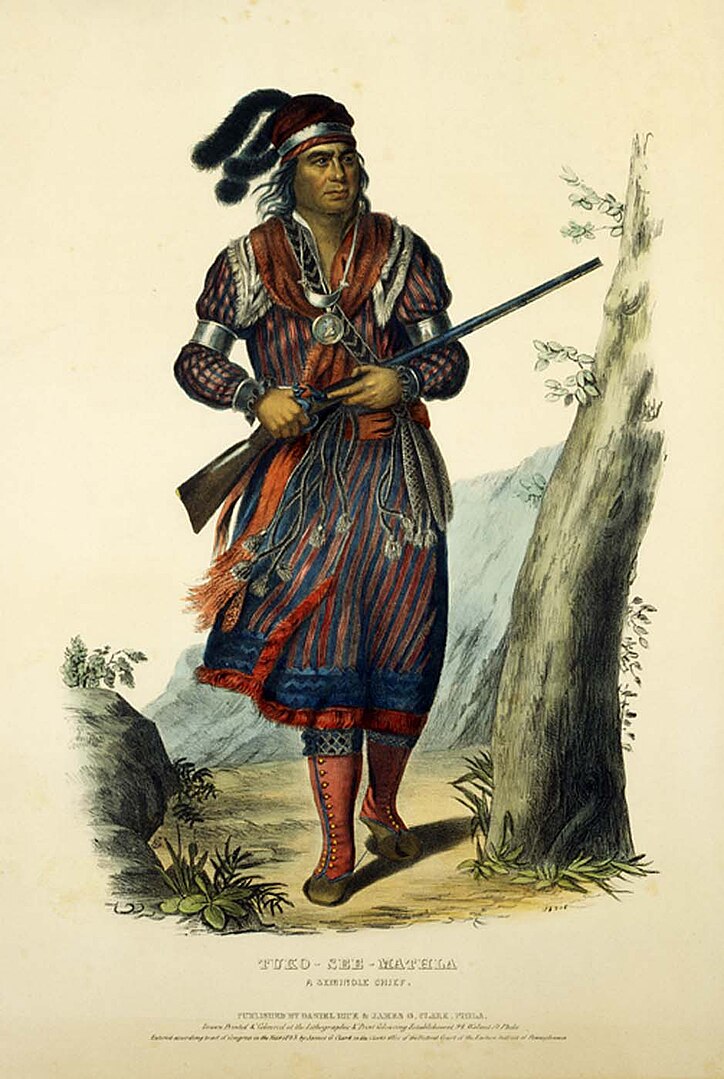 The Cherokee Nation Tried to Fight Back