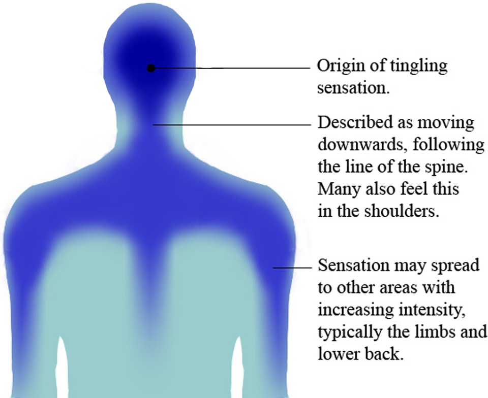 ASMR tingles relax many viewers; the mechanism is uncertain