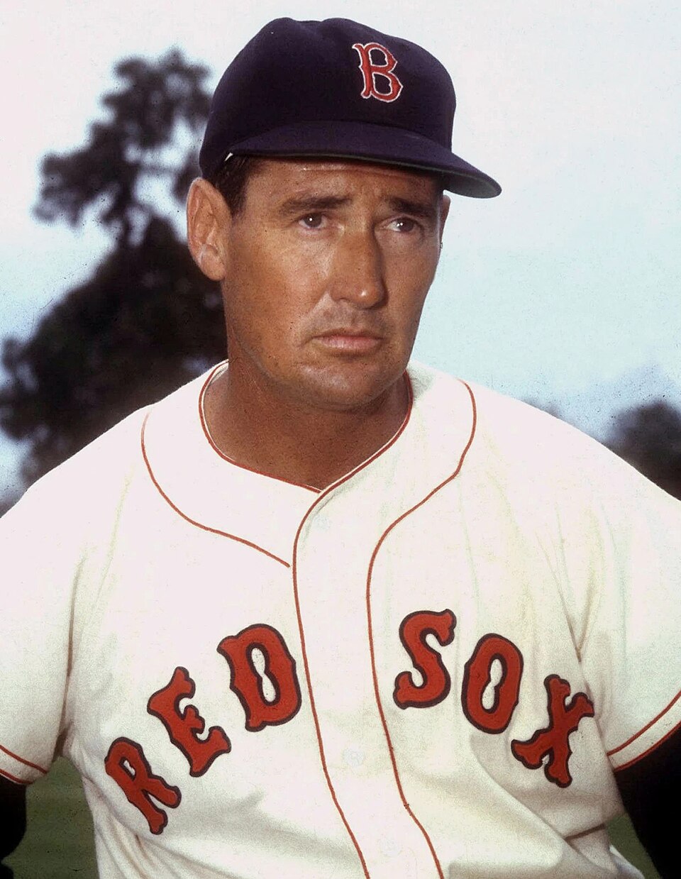 Ted Williams, Marine Pilot In Korea