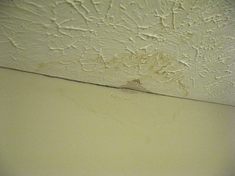 Signs of Water Damage