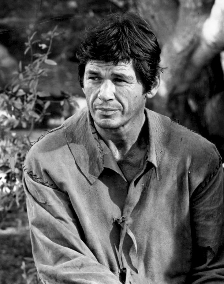Charles Bronson, B 29 Tail Gunner