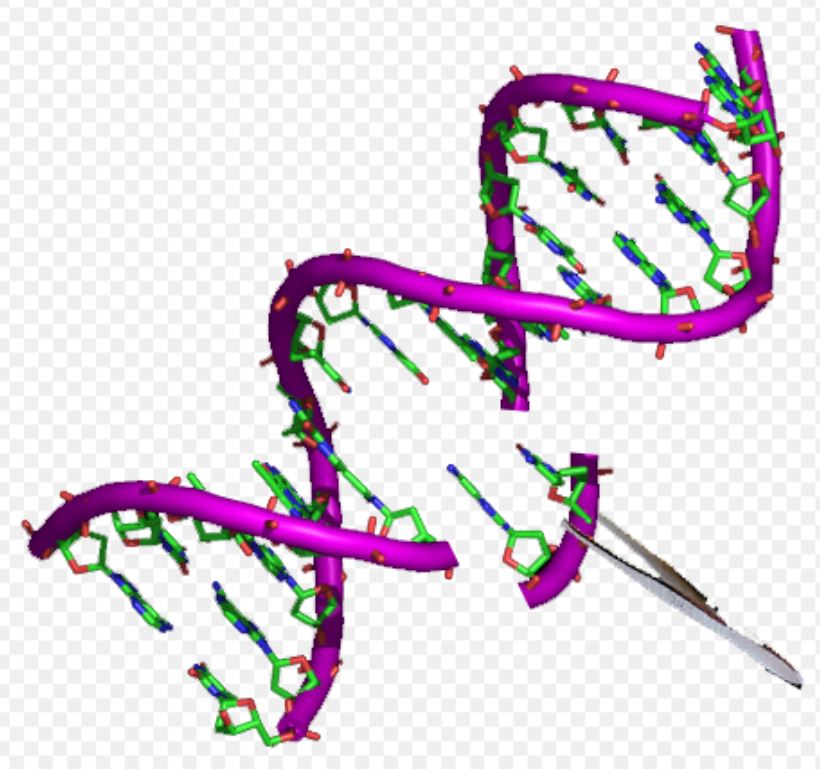 Genetic Engineering