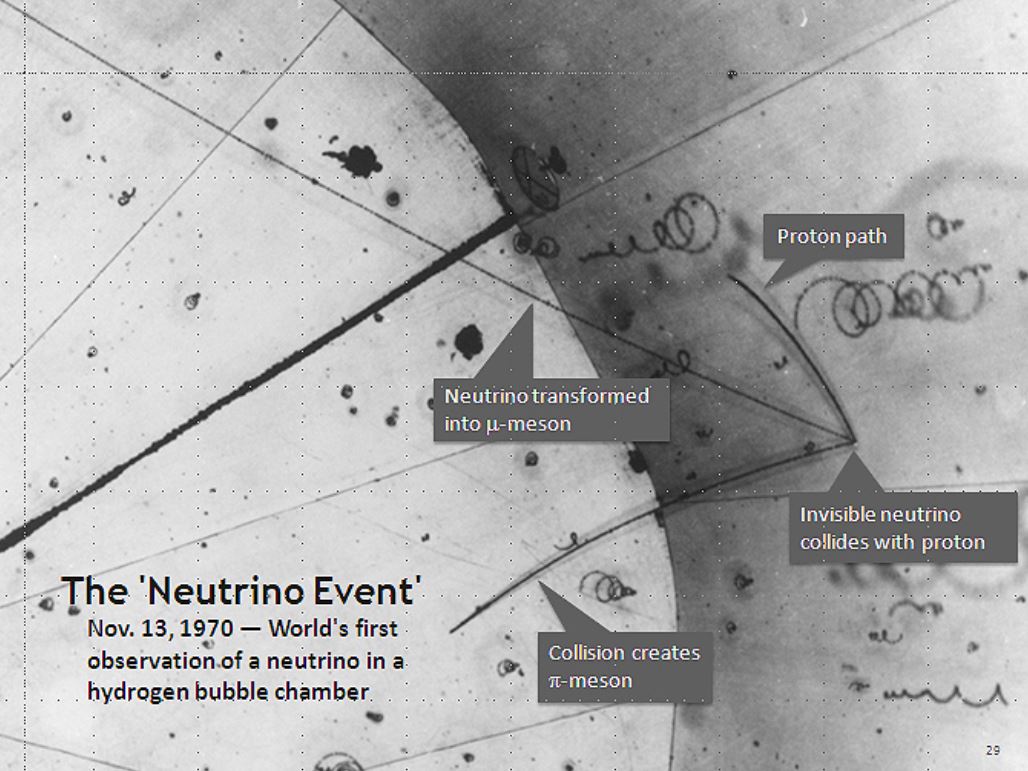 Neutrinos Change Identity