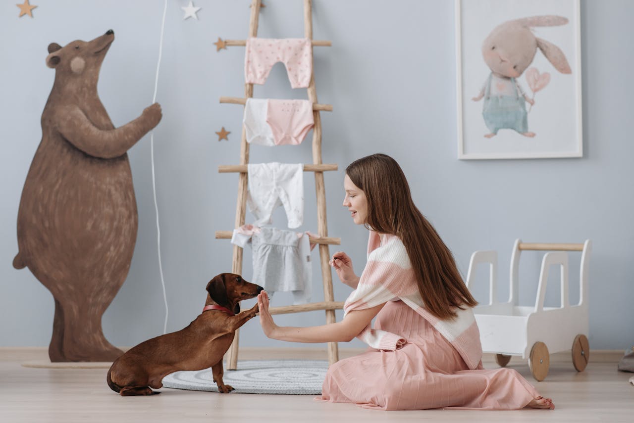 Dachshund