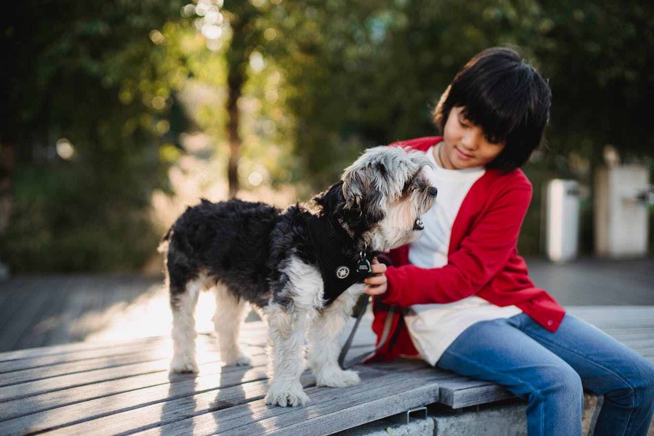 12 Gentle Dog Breeds That Offer Real Emotional Support