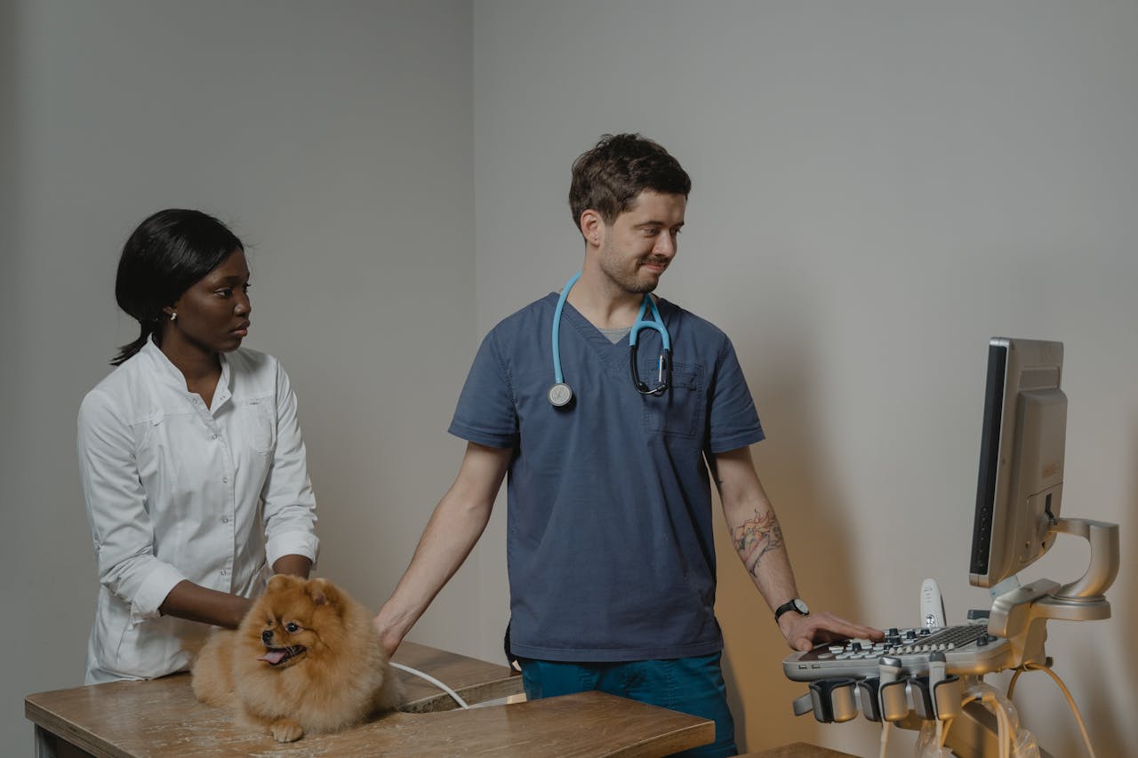 Health Basics And Vet Visits