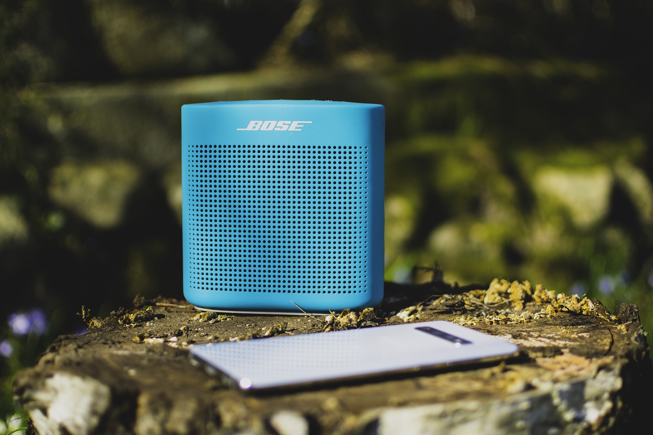 Portable Bluetooth Speakers