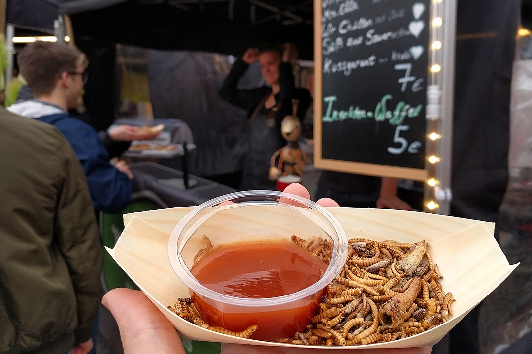 BugFest Edible Insects, North Carolina