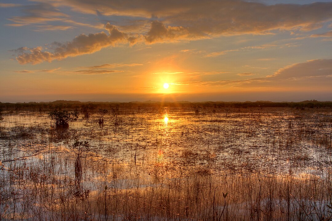 The Everglades, Florida