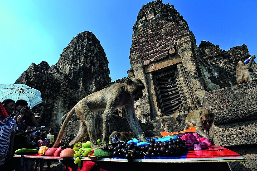 Monkey Buffet Festival (Thailand)