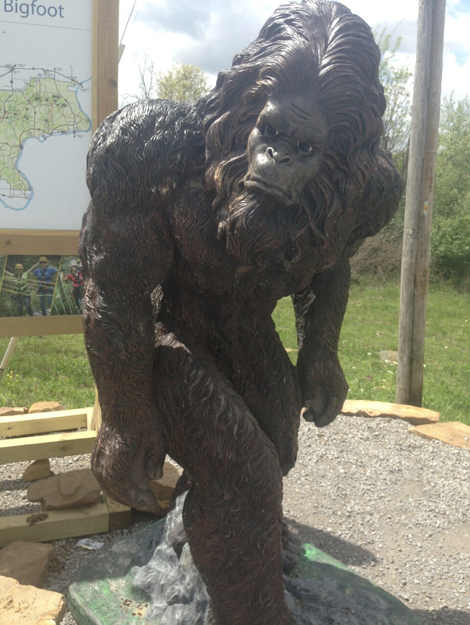Bigfoot - likely black bears