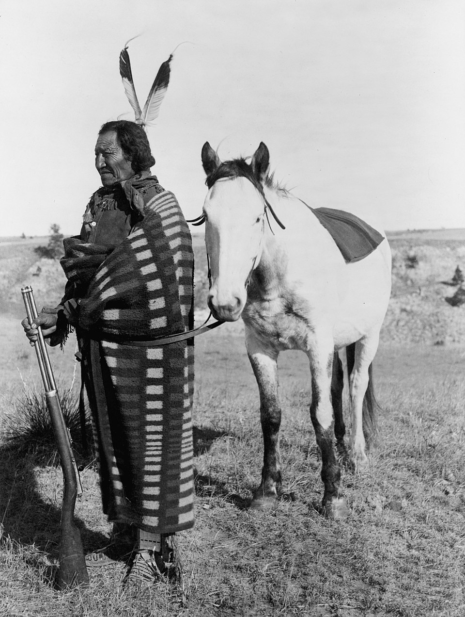 Ex parte Crow Dog (1883)