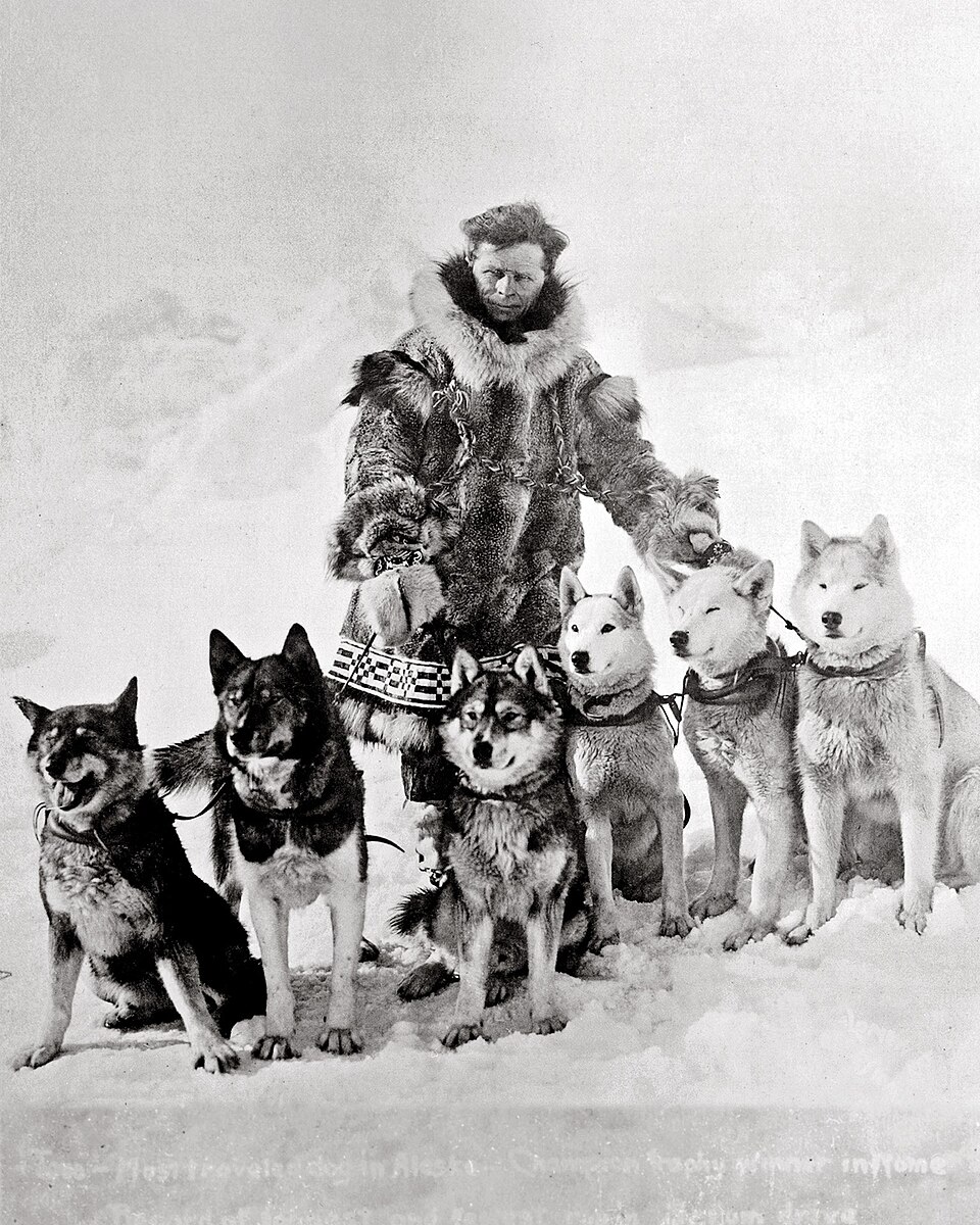 Togo, the Serum Run Leader