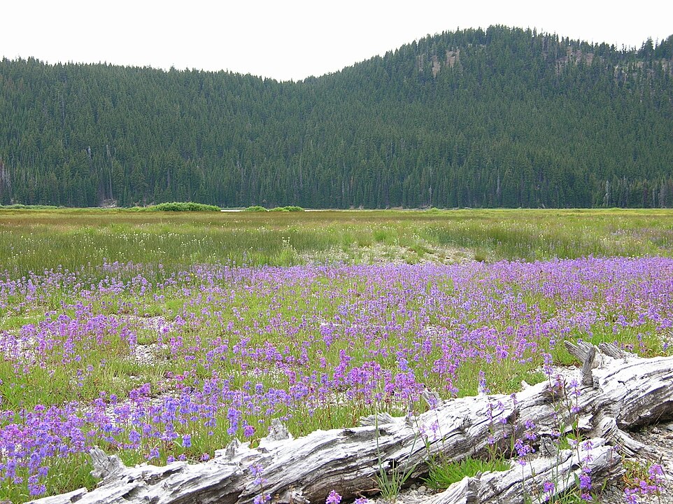 Cascade Lakes Scenic Byway - Oregon