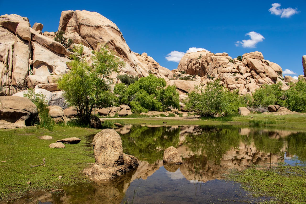 Joshua Tree, California