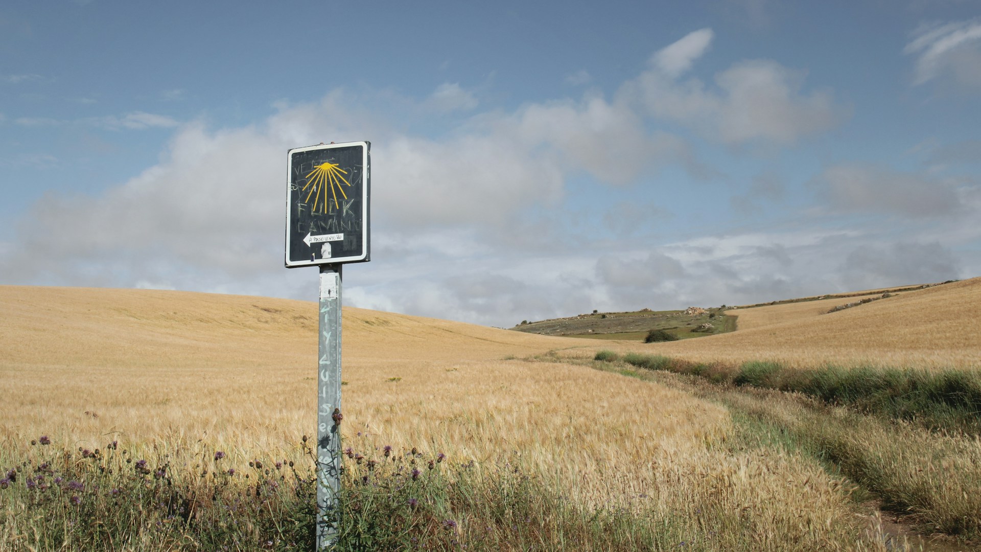 camino de santiago