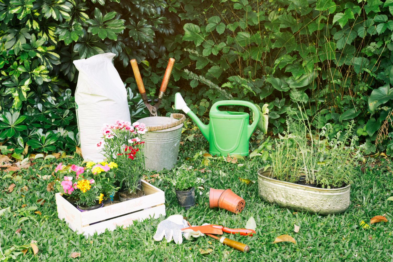 Leave The Leaves And A Little Mess