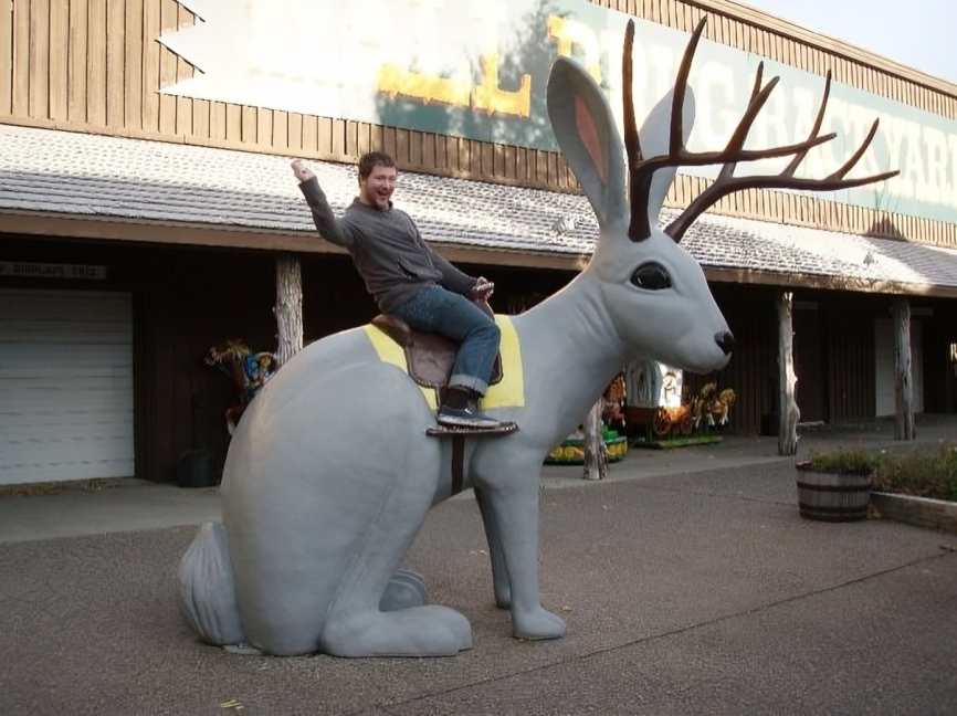 Jackalope - rabbits with horns