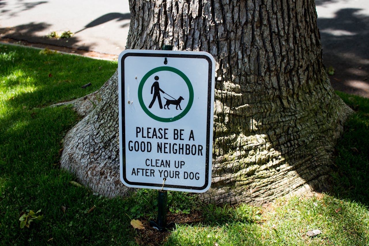 Pet Waste Removal