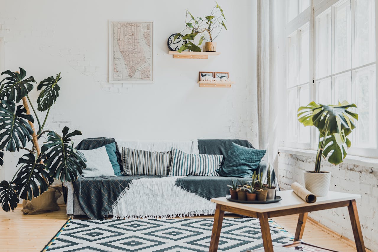 Indoor Plants