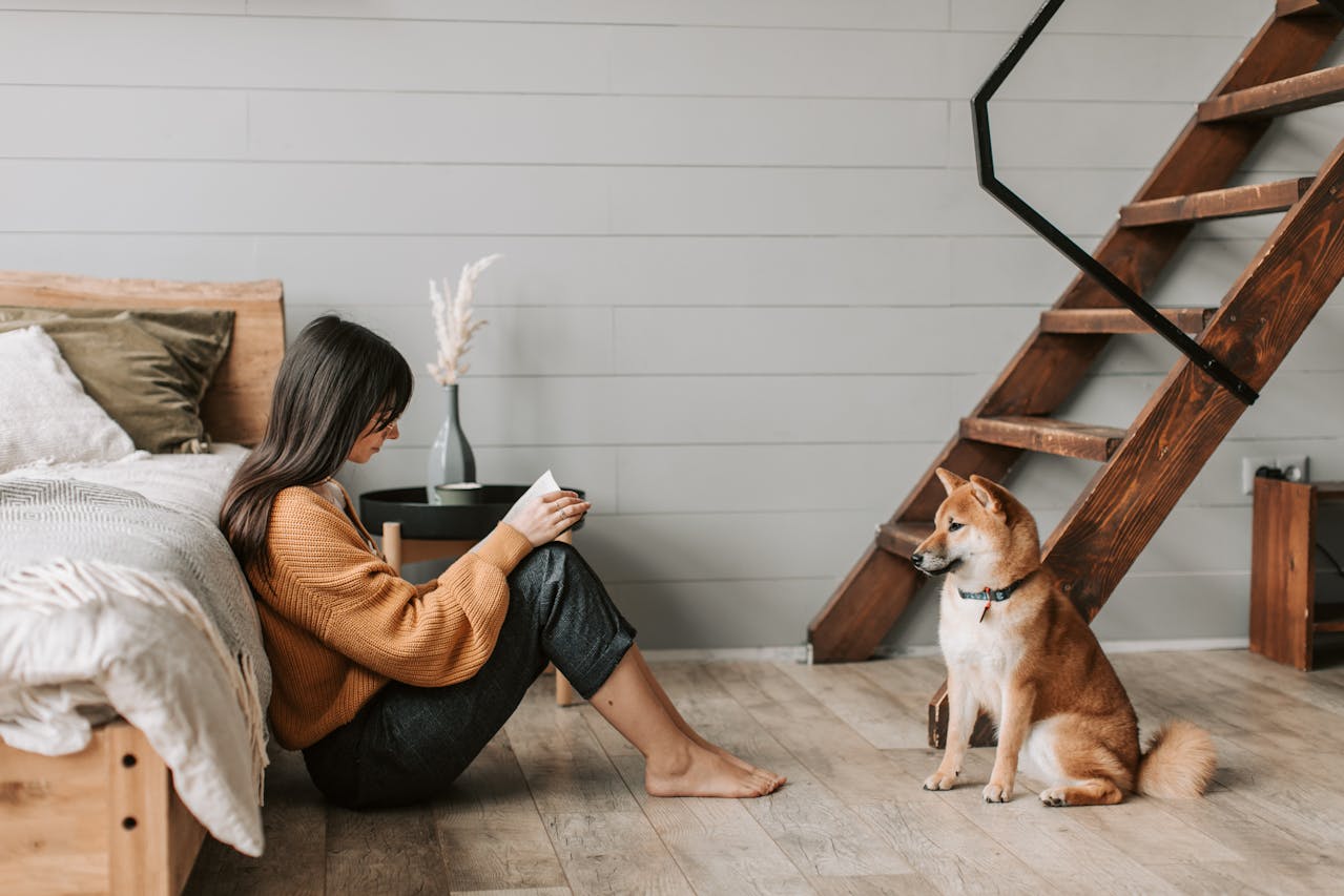 House Sitting and Pet Sitting