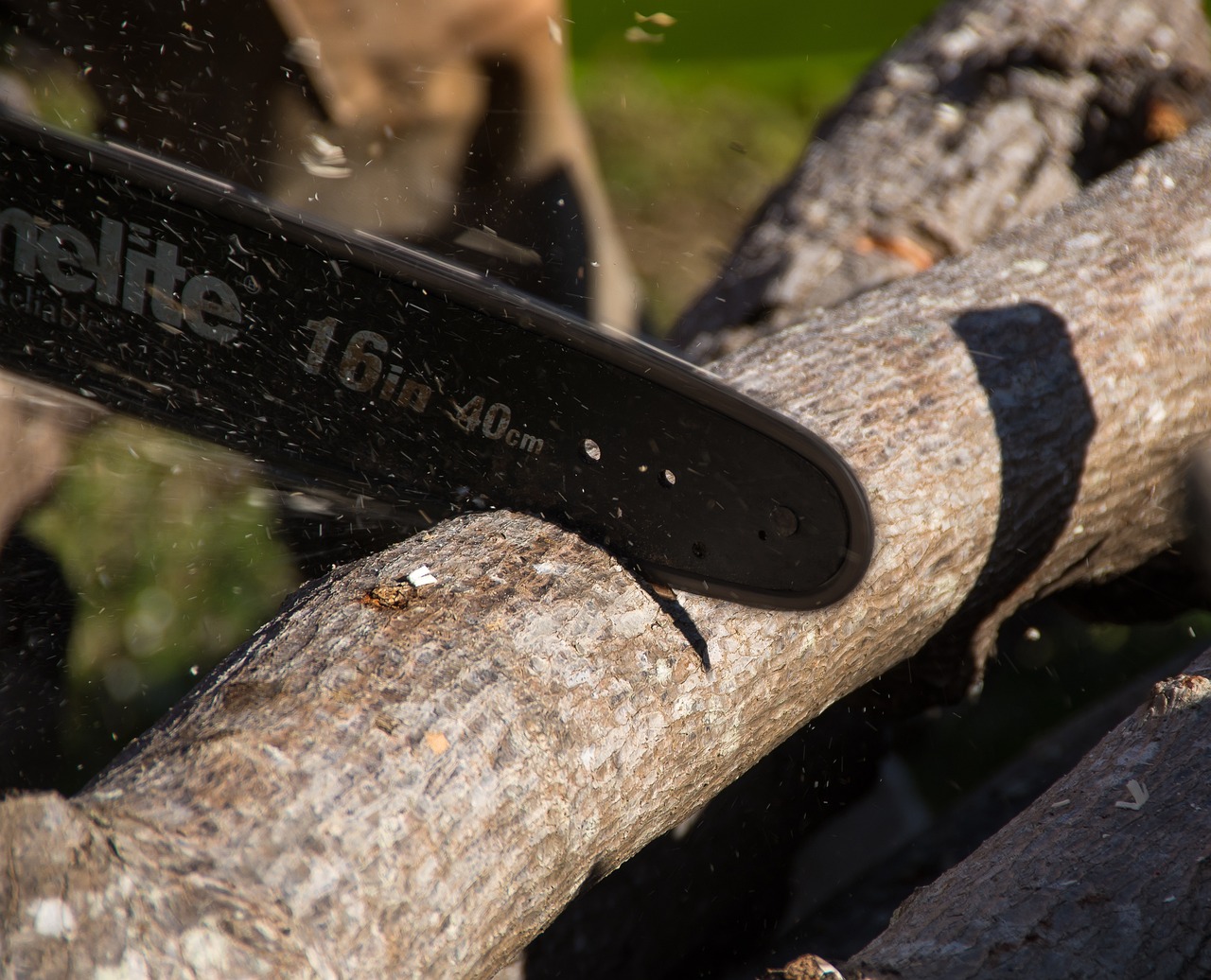 Cutting tree