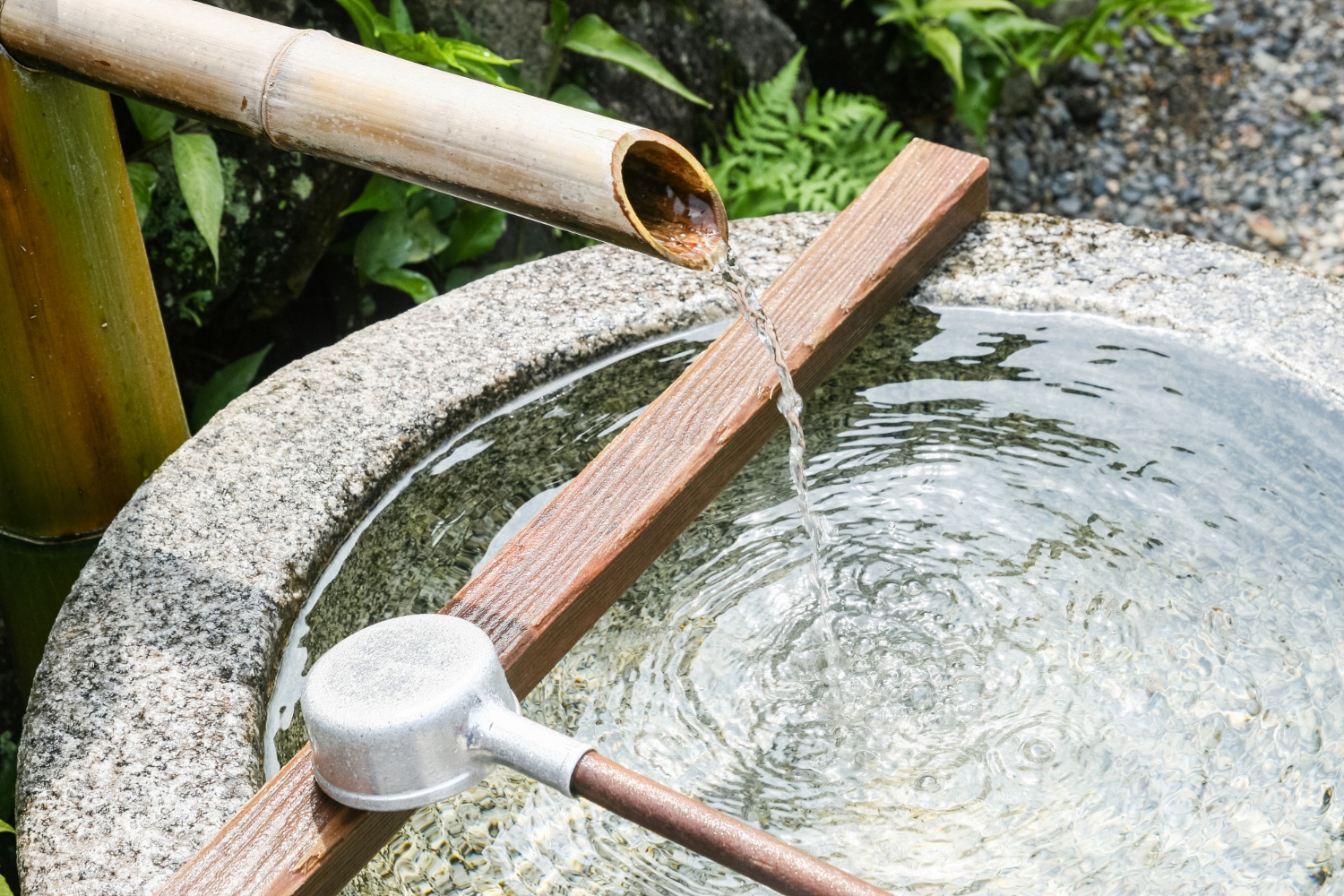 Add Clean Water Year-Round